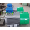 Low Speed Permanent Magnet Generator/Alternator with Ce